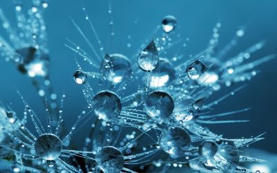 Why Siloed RWA Liquidity Is the Main Barrier to Institutional Adoption and How It Gets Solved