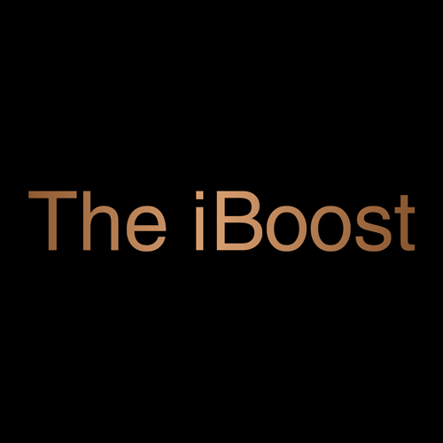 Logo 500
